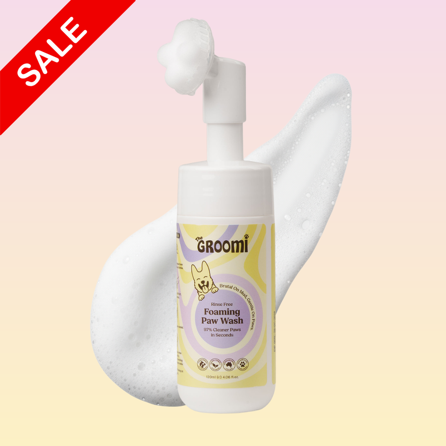 THE GROOMI: CleanPaws Foaming Paw Wash — no-rinse dog paw cleaner, foaming soap-free formula, removes mud dirt odor after walks, quick mess-free clean, gentle hypoallergenic, moisturising, safe for puppies, travel-friendly 120ml, pet grooming essentials.
