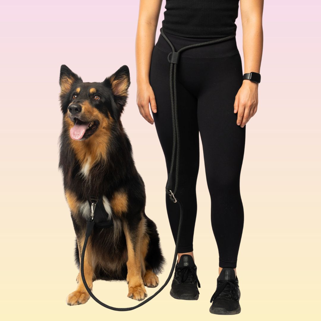 Walk Essentials Bundle