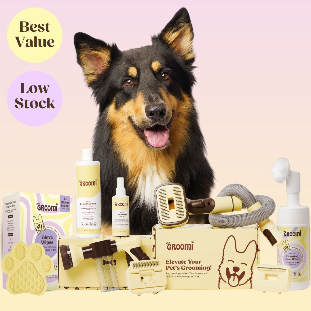 Ultimate GROOMI™ Bundle