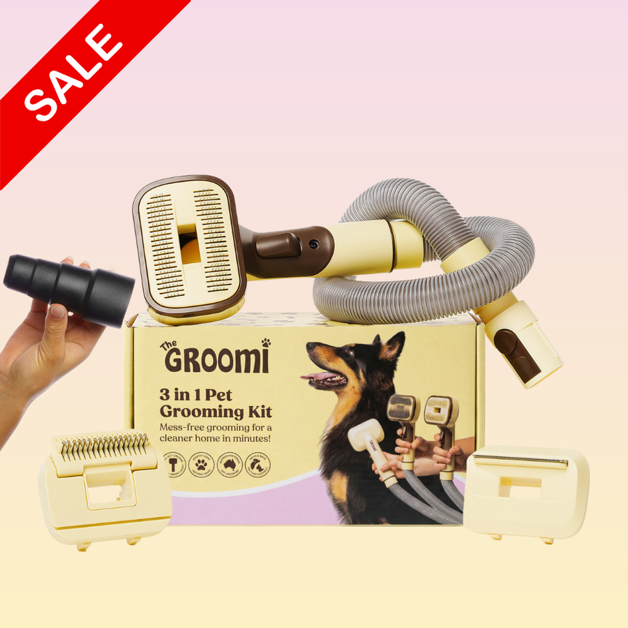 THE GROOMI: GROOMI 3-in-1 Vacuum Pet Brush Kit — self-cleaning dog grooming brush, slicker rake deshed heads, fits any vacuum up to 45mm, removes loose fur, mess-free de-shedding, for short medium long coats, reduces shedding allergies, at-home grooming tool.
