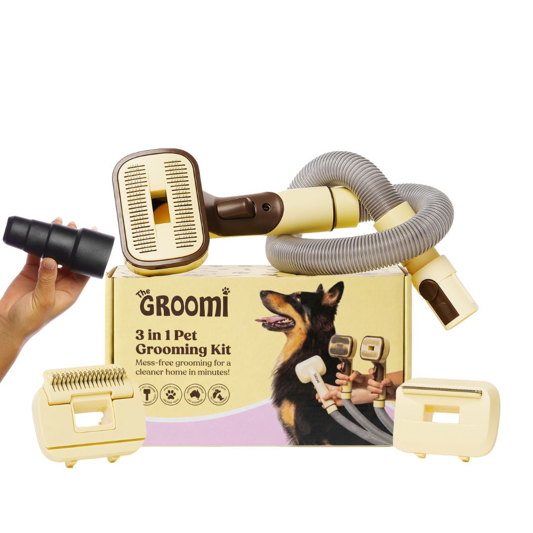 GROOMI™: Vacuum Grooming Tool, Deshedding Brush for Dogs & Cats