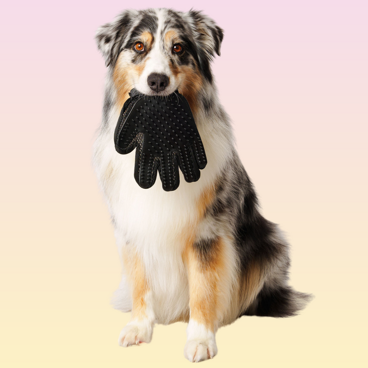 THE GROOMI: Groomi Grooming Gloves — silicone bath/de-shedding gloves, deep clean, lifts loose fur and dirt, quick lather, non-slip, mess-free bathing, improves coat health, for dogs & cats, ideal for medium-long coats, easy at-home grooming.