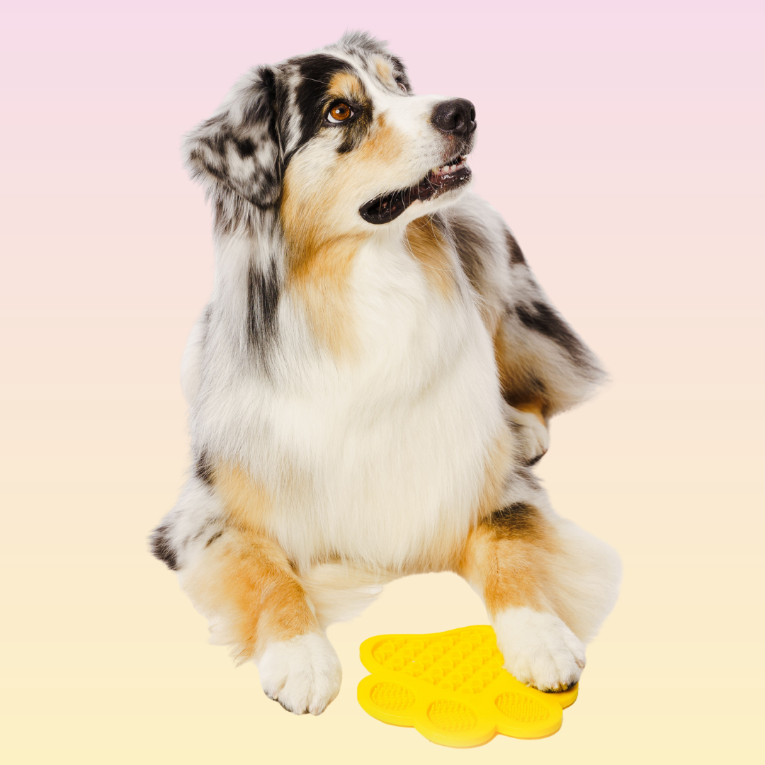 THE GROOMI: Lick Mat — dog licking mat, bath-time distraction, anxiety relief, slow feeder, reduces boredom and stress, grooming aid, suction cups, BPA-free silicone, dishwasher and freezer safe, spread peanut butter or yogurt, promotes calm and better dental health.