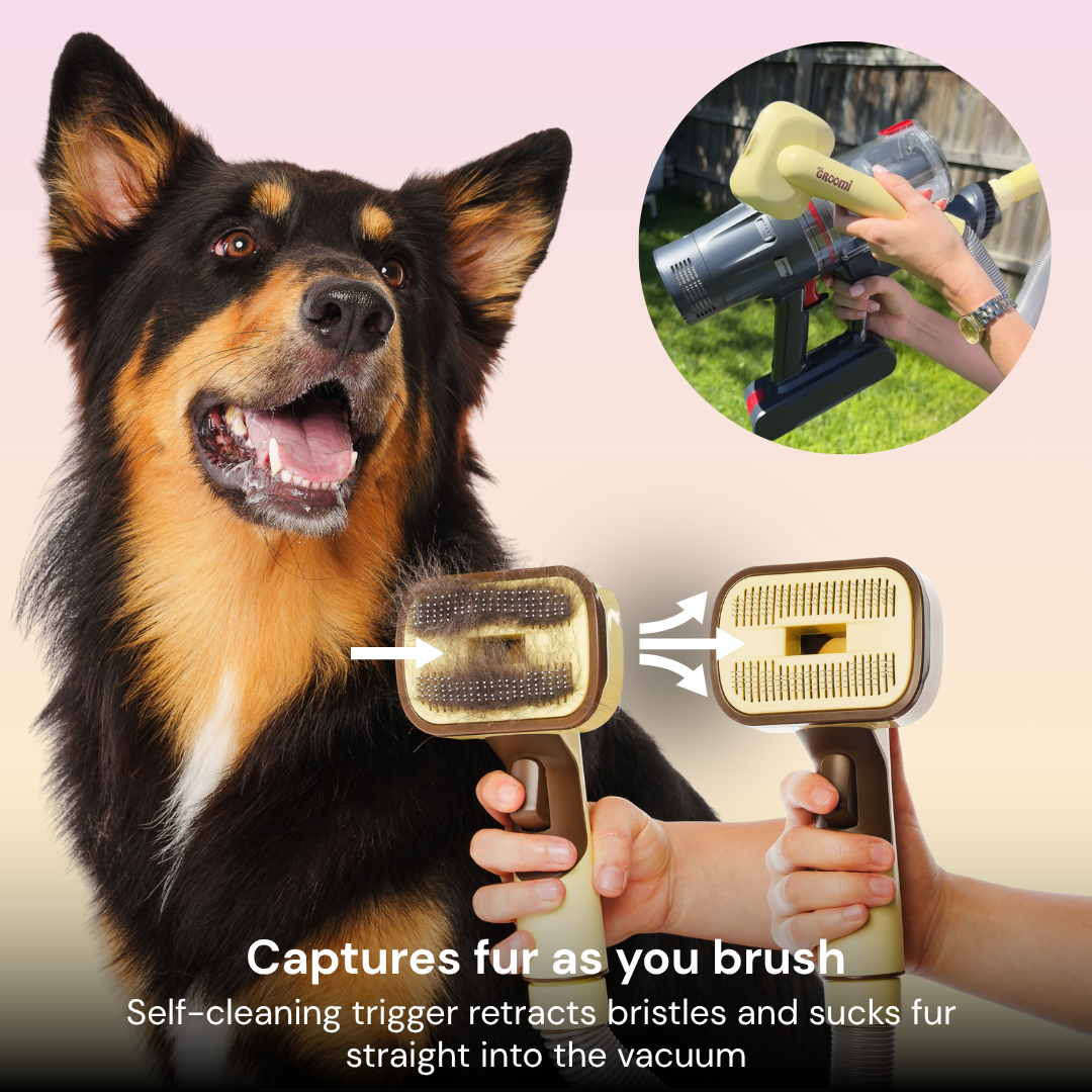 THE GROOMI: GROOMI 3-in-1 Vacuum Pet Brush Kit — self-cleaning dog grooming brush, slicker rake deshed heads, fits any vacuum up to 45mm, removes loose fur, mess-free de-shedding, for short medium long coats, reduces shedding allergies, at-home grooming tool.