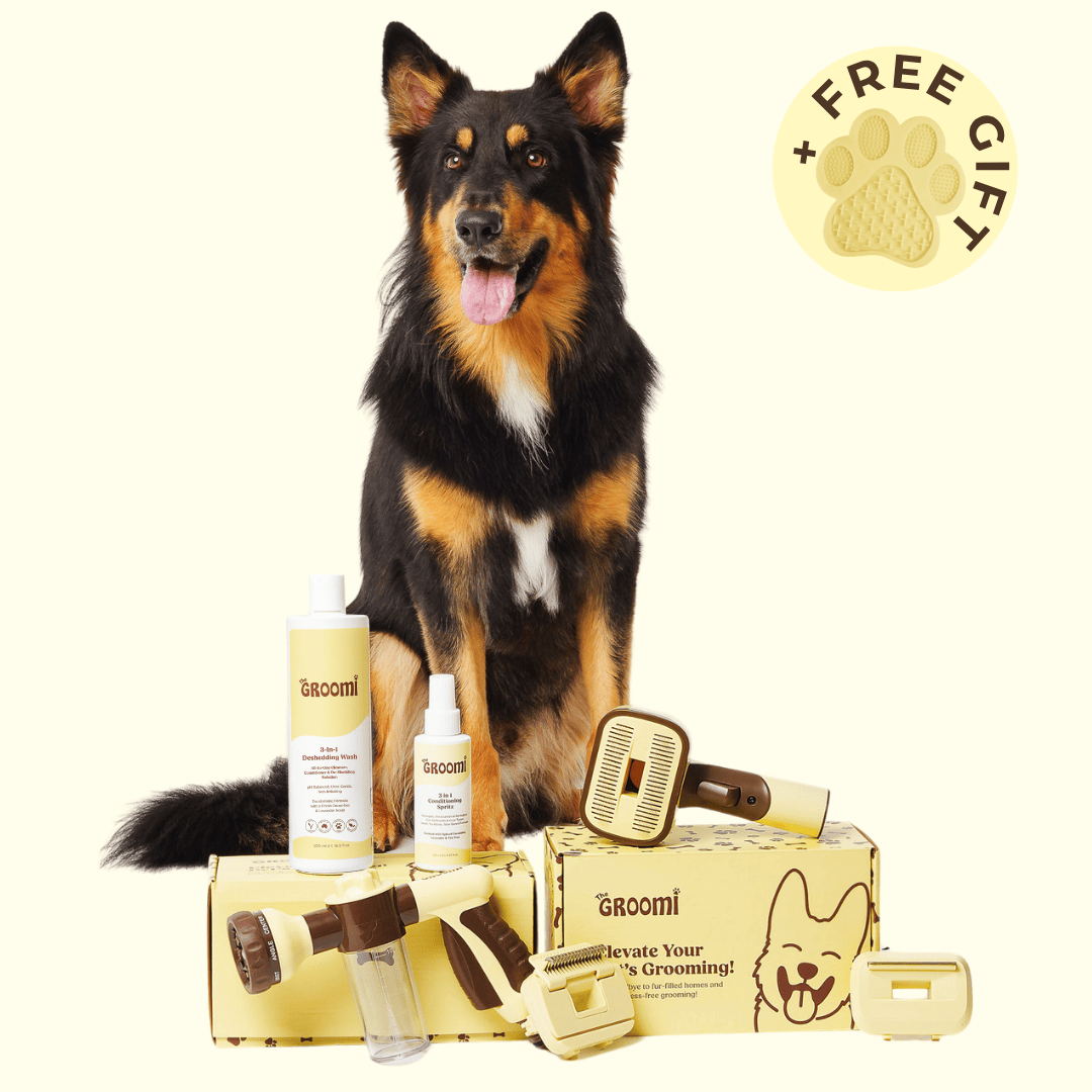 Discover the ultimate Groomi bundle! Includes the GROOMI Kit, Hydro Hound, Deshedding Wash, Spritz. Enjoy up to 50% off, FREE shipping, and a bonus gift. This limited-time offer provides mess-free, quick, and gentle grooming suitable for all breeds. Vegan, organic, and designed to keep your pet calm and engaged. Shop now for professional results at home!