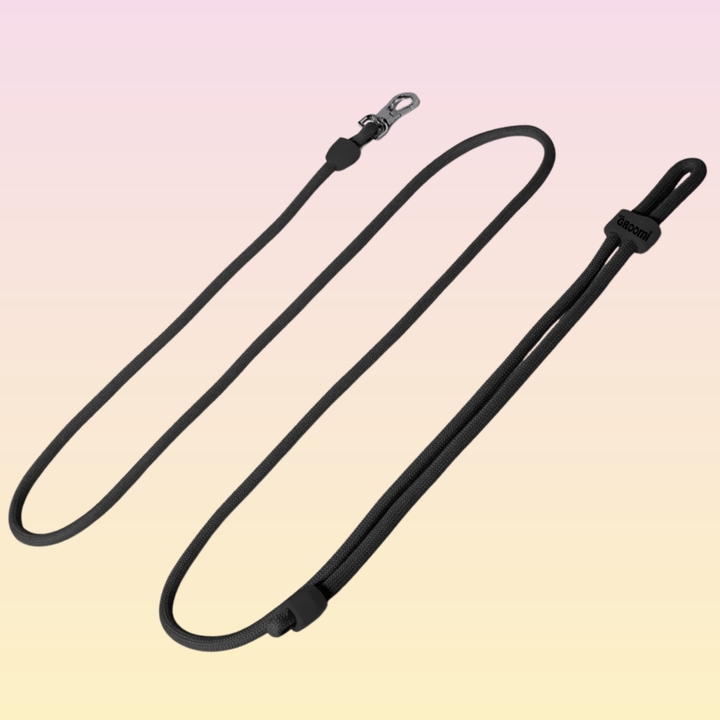 Black Friday Bundle