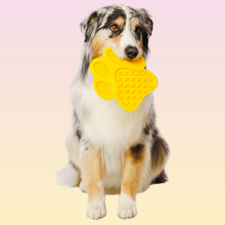 THE GROOMI: Lick Mat — dog licking mat, bath-time distraction, anxiety relief, slow feeder, reduces boredom and stress, grooming aid, suction cups, BPA-free silicone, dishwasher and freezer safe, spread peanut butter or yogurt, promotes calm and better dental health.