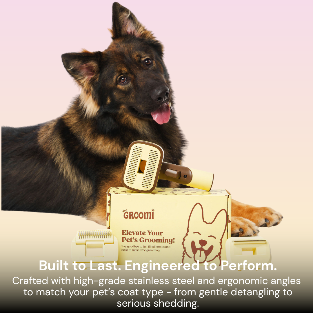 THE GROOMI: GROOMI 3-in-1 Vacuum Pet Brush Kit — self-cleaning dog grooming brush, slicker rake deshed heads, fits any vacuum up to 45mm, removes loose fur, mess-free de-shedding, for short medium long coats, reduces shedding allergies, at-home grooming tool.