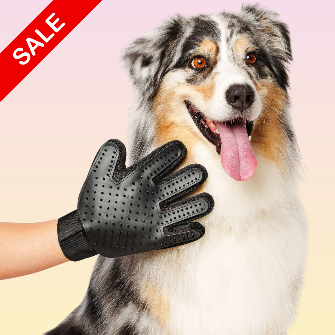 THE GROOMI: Groomi Grooming Gloves — silicone bath/de-shedding gloves, deep clean, lifts loose fur and dirt, quick lather, non-slip, mess-free bathing, improves coat health, for dogs & cats, ideal for medium-long coats, easy at-home grooming.