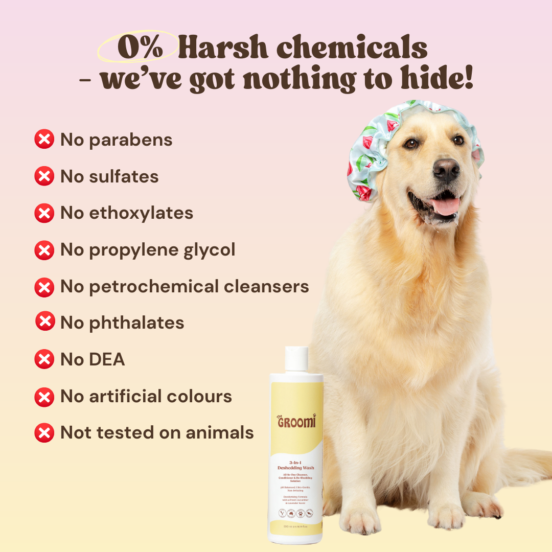 THE GROOMI: Conditioning Wash — dog deshedding shampoo, deep clean, reduces shedding and odor, moisturising, pH-balanced, hypoallergenic, soap-free, fast rinse, for puppies and adult dogs, all coat types, sensitive skin, grooming essential, fresh scent.