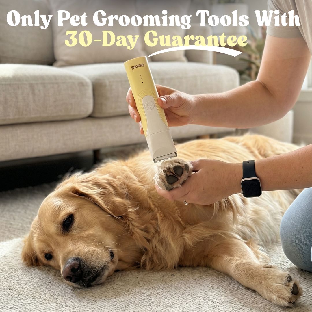 GROOMI 4-in-1 Pet Trimmer & Nail Kit: premium cordless PawSafe grooming tool for dogs and cats with precision heads for paws, body and nails, beginner-friendly design, quiet motor, safe nail guard and stainless-steel ceramic blades for stress-free grooming.