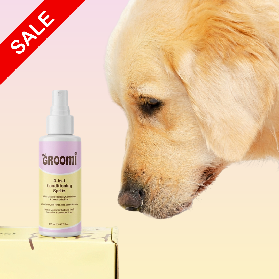THE GROOMI: 3-in-1 Conditioning Spritz — leave-in pet conditioning spray, detangles, deodorizes, hydrates, reduces static, adds shine, quick freshen-up between baths, hypoallergenic, gentle daily use, safe for dogs & cats, grooming finisher, fresh scent.