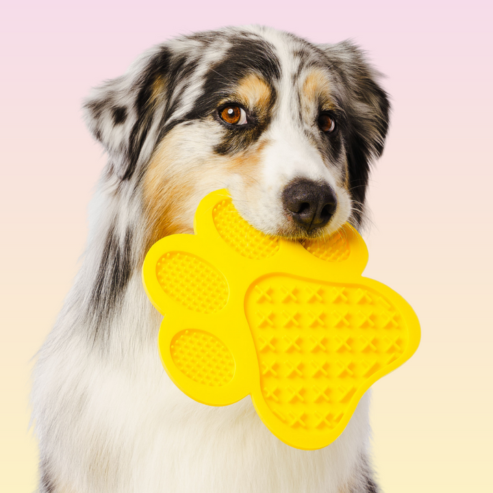 THE GROOMI: Lick Mat — dog licking mat, bath-time distraction, anxiety relief, slow feeder, reduces boredom and stress, grooming aid, suction cups, BPA-free silicone, dishwasher and freezer safe, spread peanut butter or yogurt, promotes calm and better dental health.