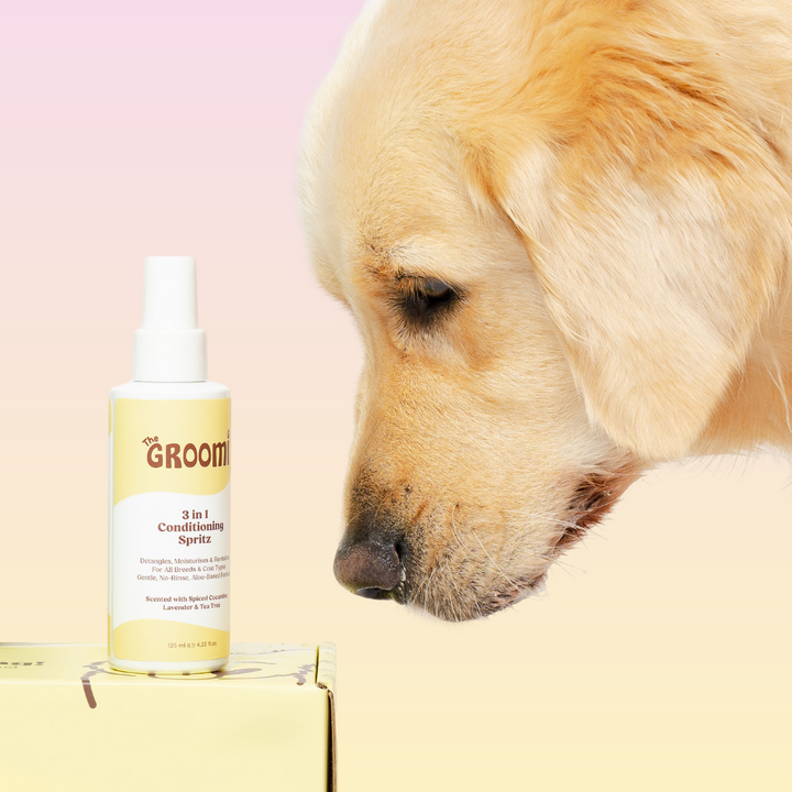 THE GROOMI: 3-in-1 Conditioning Spritz — leave-in pet conditioning spray, detangles, deodorizes, hydrates, reduces static, adds shine, quick freshen-up between baths, hypoallergenic, gentle daily use, safe for dogs & cats, grooming finisher, fresh scent.