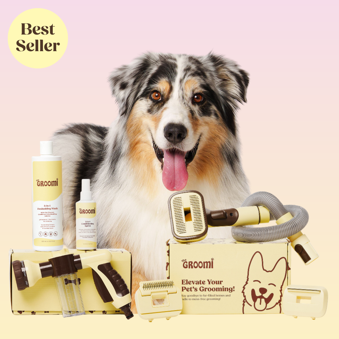 THE GROOMI: Brush & Bath Bundle — 3-in-1 vacuum pet brush + Hydro Hound sprayer + deshedding wash, mess-free grooming, removes loose fur and dirt, self-cleaning brush, fits most vacuums, fast at-home dog bath, hypoallergenic formula, for short medium long coats, reduces shedding and allergens.