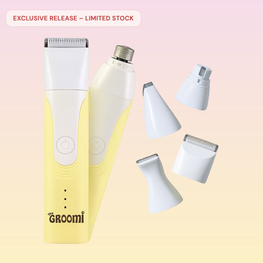 GROOMI 4-in-1 Pet Trimmer & Nail Kit: premium cordless PawSafe grooming tool for dogs and cats with precision heads for paws, body and nails, beginner-friendly design, quiet motor, safe nail guard and stainless-steel ceramic blades for stress-free grooming.