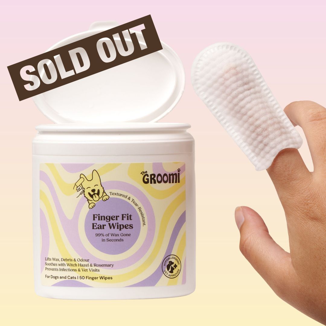 THE GROOMI: GROOMI™ Ear Wipes — dog & cat ear cleaning wipes, finger-shaped textured, removes wax dirt odor, gentle witch hazel rosemary, hypoallergenic, vet-approved, mess-free, 50 pack, prevents infections, pet grooming, sensitive ears, fast easy at-home care.