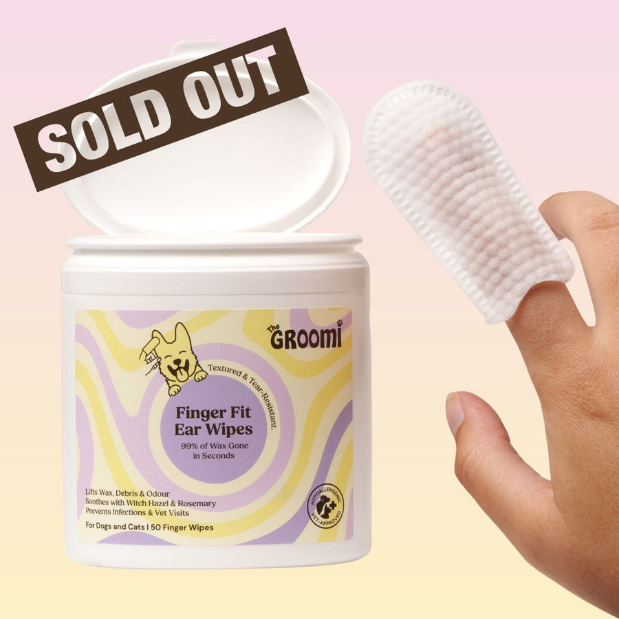 THE GROOMI: GROOMI™ Ear Wipes — dog & cat ear cleaning wipes, finger-shaped textured, removes wax dirt odor, gentle witch hazel rosemary, hypoallergenic, vet-approved, mess-free, 50 pack, prevents infections, pet grooming, sensitive ears, fast easy at-home care.