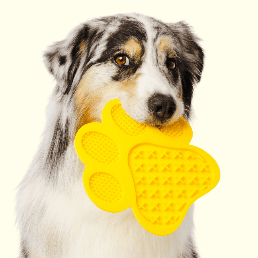 GROOMI Lick Mat: A playful, easy-to-use mat designed for pet grooming. Smear with treats to distract and calm your pet. It's celebrated for keeping pets engaged, promoting dental health with its textured design, and offers hassle-free cleaning with strong suction backing and dishwasher-safe material. Features include a money-back guarantee and free shipping.