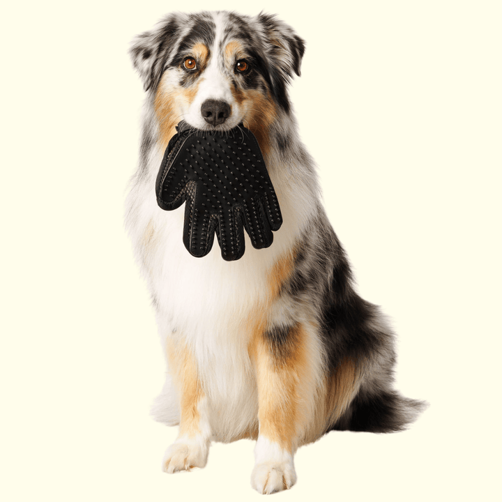 GROOMI Gloves