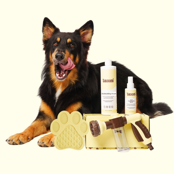 GROOMI Bath Bundle for dogs – the all-in-one dog wash kit with Hydro Hound sprayer, Deshedding Wash, 3-in-1 Spritz, and Grooming Gloves. Enjoy easy, mess-free dog baths at home. Perfect for shedding dogs. On sale now with up to 50% off and free shipping across Australia and worldwide. 