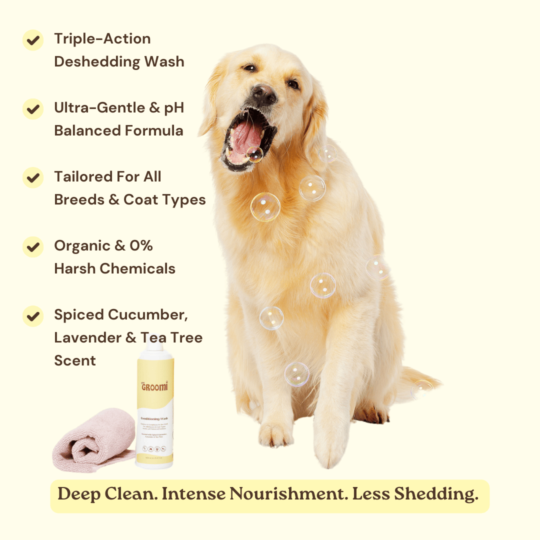 This triple-action deshedding wash cleans, conditions, and reduces shedding in one easy step. Ultra-gentle, non-irritating, pH balanced formula, strengthens, soothes, and reduces shedding at the source.
