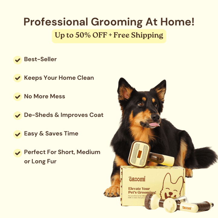 The GROOMI Kit is a quick, mess-free dog grooming brush that connects to vacuums. Ideal for all dog hair types, it features three heads: Slicker, De-Shed, and Rake. This self-cleaning tool captures loose fur efficiently, is allergen-friendly, and perfect for home use. Reduces shedding, saves time, and maintains a clean, fur-free home. Includes a universal vacuum adapter and storage bag, making grooming simple and effective for any dog breed.