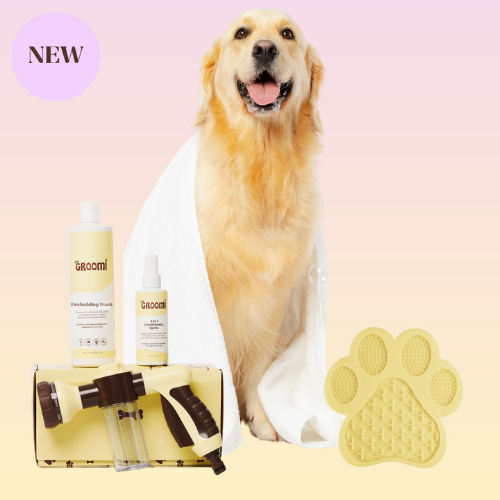 GROOMI Bath Bundle for dogs – the all-in-one dog wash kit with Hydro Hound sprayer, Deshedding Wash, 3-in-1 Spritz, and Grooming Gloves. Enjoy easy, mess-free dog baths at home. Perfect for shedding dogs. On sale now with up to 50% off and free shipping across Australia and worldwide. 