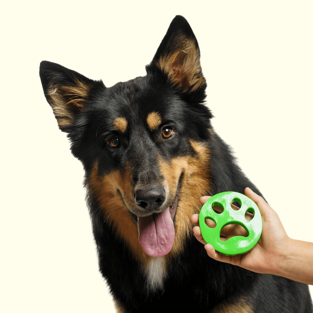 The Groomi: Furri, Our Non-Toxic & Hypoallergenic Fur Remover effectively removes pet fur, hair, lint, and dander from laundry. Easy to use and cost-effective, with up to 100 uses per product. Get a Fur-Free Laundry today!