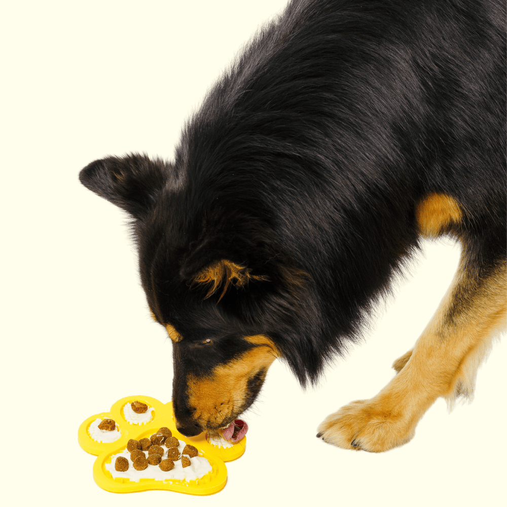 GROOMI Lick Mat: A playful, easy-to-use mat designed for pet grooming. Smear with treats to distract and calm your pet. It's celebrated for keeping pets engaged, promoting dental health with its textured design, and offers hassle-free cleaning with strong suction backing and dishwasher-safe material. Features include a money-back guarantee and free shipping.