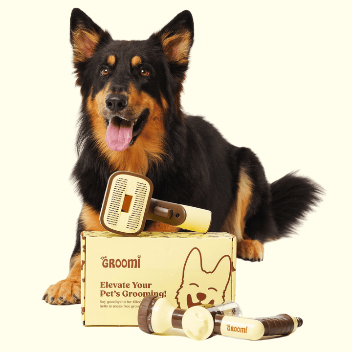 The GROOMI Kit is a quick, mess-free dog grooming brush that connects to vacuums. Ideal for all dog hair types, it features three heads: Slicker, De-Shed, and Rake. This self-cleaning tool captures loose fur efficiently, is allergen-friendly, and perfect for home use. Reduces shedding, saves time, and maintains a clean, fur-free home. Includes a universal vacuum adapter and storage bag, making grooming simple and effective for any dog breed.