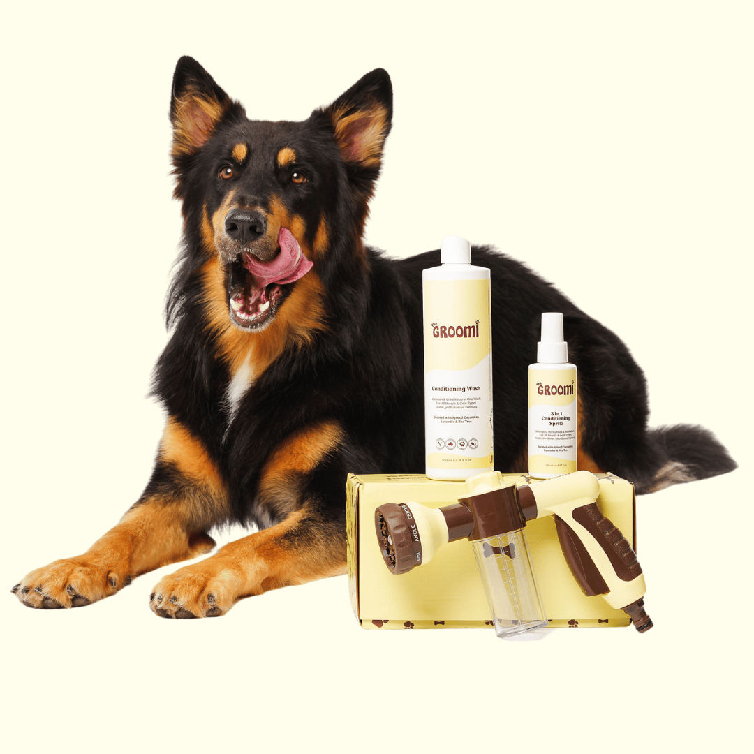 GROOMI Bath Bundle for dogs – the all-in-one dog wash kit with Hydro Hound sprayer, Deshedding Wash, 3-in-1 Spritz, and Grooming Gloves. Enjoy easy, mess-free dog baths at home. Perfect for shedding dogs. On sale now with up to 50% off and free shipping across Australia and worldwide. 