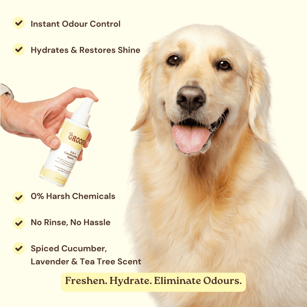 3-in-1 Dog Conditioning Spritz: Detangles, moisturises, and freshens coats. Made with organic aloe, vegan, cruelty-free. Keeps your pet smelling fresh with a glossy coat. Perfect for all dog breeds.