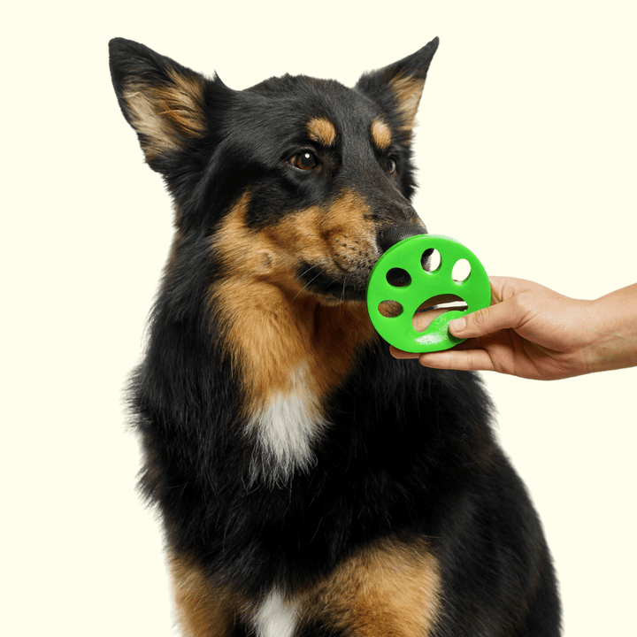 The Groomi: Furri, Our Non-Toxic & Hypoallergenic Fur Remover effectively removes pet fur, hair, lint, and dander from laundry. Easy to use and cost-effective, with up to 100 uses per product. Get a Fur-Free Laundry today!