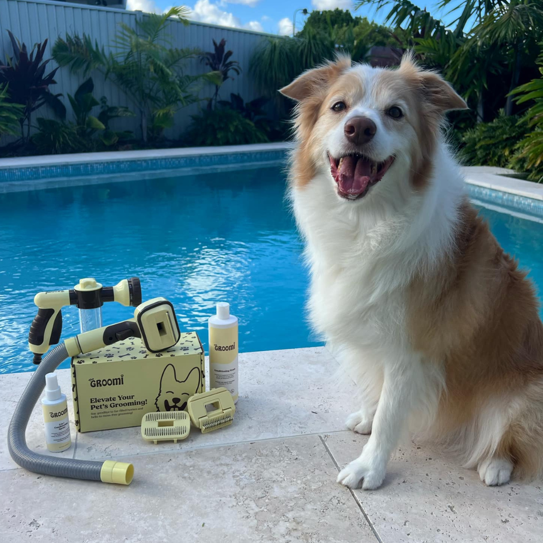 Discover the ultimate Groomi bundle! Includes the GROOMI Kit, Hydro Hound, Deshedding Wash, Spritz. Enjoy up to 50% off, FREE shipping, and a bonus gift. This limited-time offer provides mess-free, quick, and gentle grooming suitable for all breeds. Vegan, organic, and designed to keep your pet calm and engaged. Shop now for professional results at home!