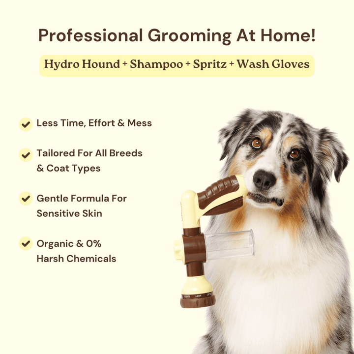 GROOMI Bath Bundle for dogs – the all-in-one dog wash kit with Hydro Hound sprayer, Deshedding Wash, 3-in-1 Spritz, and Grooming Gloves. Enjoy easy, mess-free dog baths at home. Perfect for shedding dogs. On sale now with up to 50% off and free shipping across Australia and worldwide. 