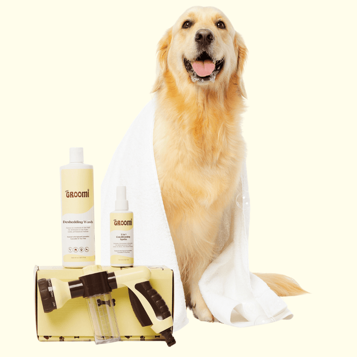 Spazzola Groomify Per Cani E Gatti - Pettine Per Pelo Corto E Lungo, Con Impugnatura Antiscivolo - Foto 7