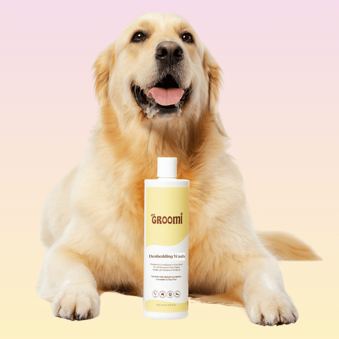 This triple-action deshedding wash cleans, conditions, and reduces shedding in one easy step. Ultra-gentle, non-irritating, pH balanced formula, strengthens, soothes, and reduces shedding at the source.