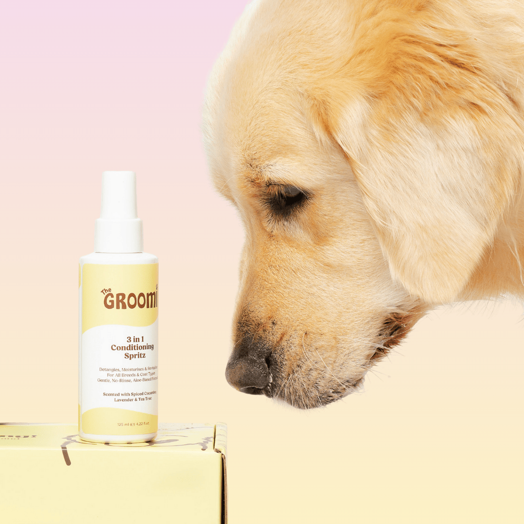 3-in-1 Dog Conditioning Spritz: Detangles, moisturises, and freshens coats. Made with organic aloe, vegan, cruelty-free. Keeps your pet smelling fresh with a glossy coat. Perfect for all dog breeds.
