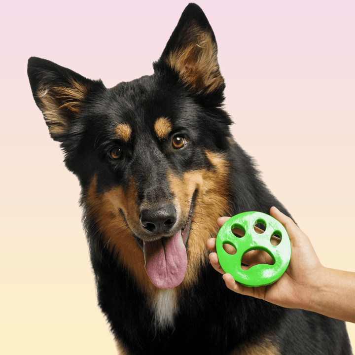 THE GROOMI: FURRI Laundry Fur Remover — reusable pet hair remover for laundry, washer/dryer safe, removes fur, hair, lint, dander; non-toxic, hypoallergenic; two-pack; 100+ uses; keeps clothes and bedding fur-free. 