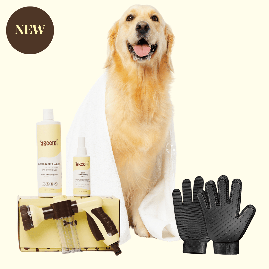 GROOMI Bath Bundle for dogs – the all-in-one dog wash kit with Hydro Hound sprayer, Deshedding Wash, 3-in-1 Spritz, and Grooming Gloves. Enjoy easy, mess-free dog baths at home. Perfect for shedding dogs. On sale now with up to 50% off and free shipping across Australia and worldwide. 
