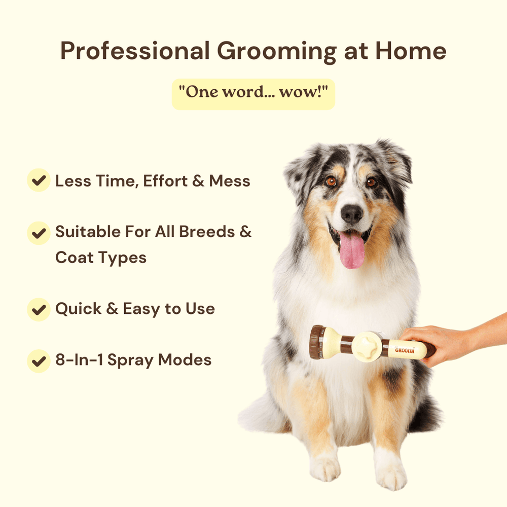 Bath Bundle for Dogs: Includes Hydro Hound, Conditioning Wash & Spritz. Achieve professional grooming results at home—quick, deep clean with a soft, shiny coat. Suitable for all breeds. Vegan, organic.