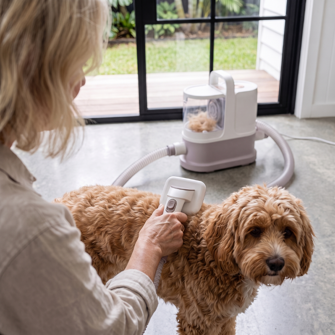 The GROOMI 10-in-1 Pet Grooming System is the complete mess-free grooming kit for dogs and cats — a professional pet grooming vacuum, dryer and clipper in one machine. Brush, de-shed, dry and trim at home while every hair is captured at the source. Ten professional-grade tools including a deshedding tool, slicker brush, undercoat rake, pro clipper with comb guards and three dryer nozzles, powered by a built-in 550W vacuum and 850W warm-air dryer with a quiet 53dB Eco mode. Designed by professional groomers 