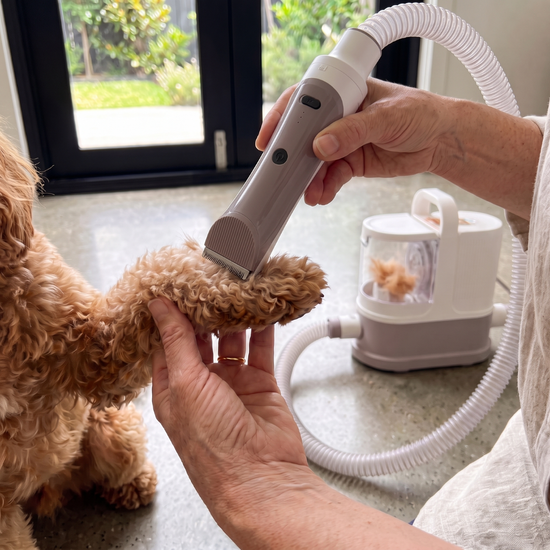 The GROOMI 10-in-1 Pet Grooming System is the complete mess-free grooming kit for dogs and cats — a professional pet grooming vacuum, dryer and clipper in one machine. Brush, de-shed, dry and trim at home while every hair is captured at the source. Ten professional-grade tools including a deshedding tool, slicker brush, undercoat rake, pro clipper with comb guards and three dryer nozzles, powered by a built-in 550W vacuum and 850W warm-air dryer with a quiet 53dB Eco mode. Designed by professional groomers 