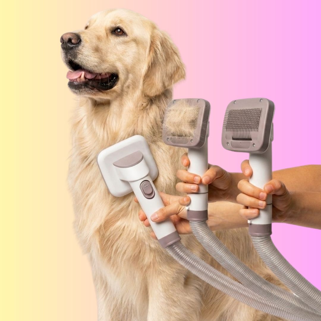 The GROOMI 10-in-1 Pet Grooming System is the complete mess-free grooming kit for dogs and cats — a professional pet grooming vacuum, dryer and clipper in one machine. Brush, de-shed, dry and trim at home while every hair is captured at the source. Ten professional-grade tools including a deshedding tool, slicker brush, undercoat rake, pro clipper with comb guards and three dryer nozzles, powered by a built-in 550W vacuum and 850W warm-air dryer with a quiet 53dB Eco mode. Designed by professional groomers 