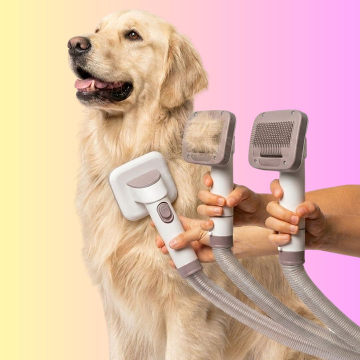 The GROOMI 10-in-1 Pet Grooming System is the complete mess-free grooming kit for dogs and cats — a professional pet grooming vacuum, dryer and clipper in one machine. Brush, de-shed, dry and trim at home while every hair is captured at the source. Ten professional-grade tools including a deshedding tool, slicker brush, undercoat rake, pro clipper with comb guards and three dryer nozzles, powered by a built-in 550W vacuum and 850W warm-air dryer with a quiet 53dB Eco mode. Designed by professional groomers 