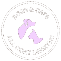 Dogs & Cats