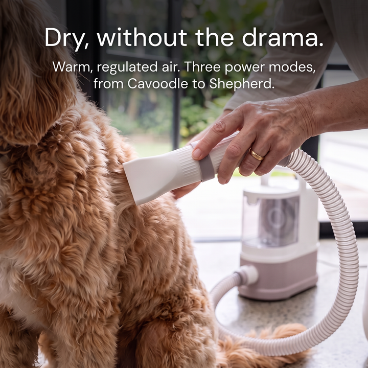 The GROOMI 10-in-1 Pet Grooming System is the complete mess-free grooming kit for dogs and cats — a professional pet grooming vacuum, dryer and clipper in one machine. Brush, de-shed, dry and trim at home while every hair is captured at the source. Ten professional-grade tools including a deshedding tool, slicker brush, undercoat rake, pro clipper with comb guards and three dryer nozzles, powered by a built-in 550W vacuum and 850W warm-air dryer with a quiet 53dB Eco mode. Designed by professional groomers 