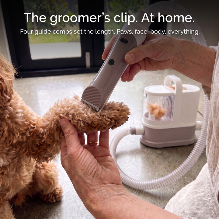 The GROOMI 10-in-1 Pet Grooming System is the complete mess-free grooming kit for dogs and cats — a professional pet grooming vacuum, dryer and clipper in one machine. Brush, de-shed, dry and trim at home while every hair is captured at the source. Ten professional-grade tools including a deshedding tool, slicker brush, undercoat rake, pro clipper with comb guards and three dryer nozzles, powered by a built-in 550W vacuum and 850W warm-air dryer with a quiet 53dB Eco mode. Designed by professional groomers 