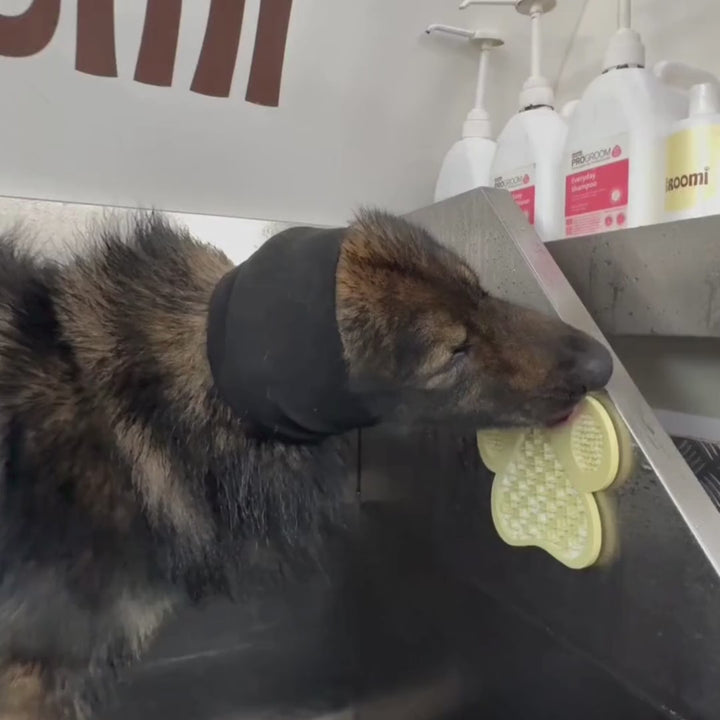 THE GROOMI: CalmEars Anti-Anxiety Dog Ear Wrap — calming ear wrap for dogs, noise anxiety relief, grooming aid, vacuum thunderstorm fireworks travel, soft stretchy fabric, adjustable secure fit, reduces stress barking shaking, washable reusable, multiple sizes, ear protection, comfortable desensitization training.